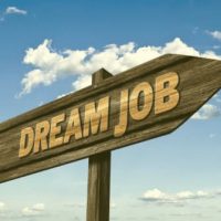 Job Search Optimisation Coaching Solution